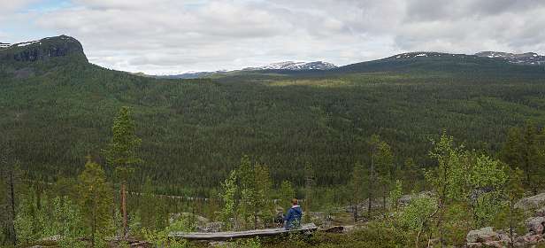 Uitzicht op het gebied waar het pad naar Kvikkjokk loopt