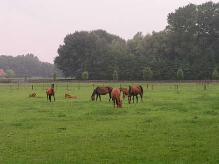 Steengroeve Winterswijk