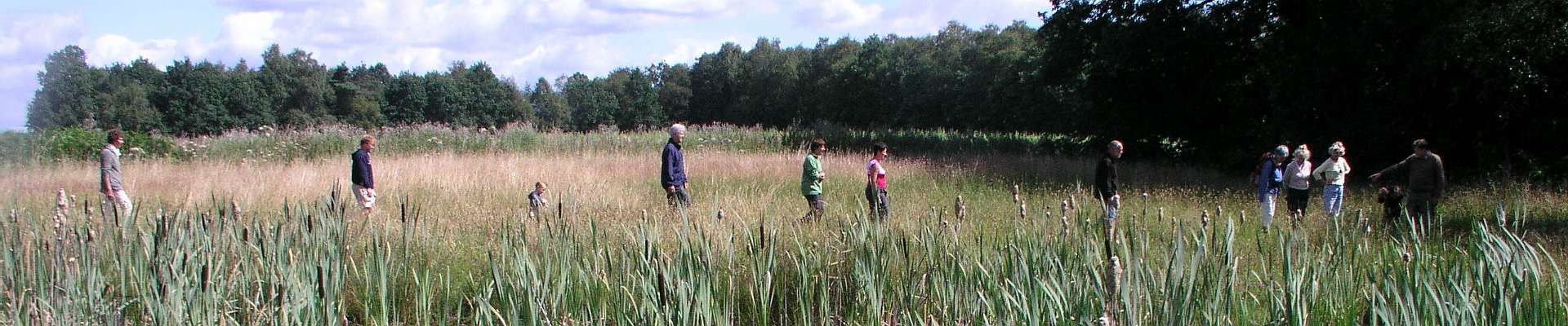 Rond camping Lutje Kossink