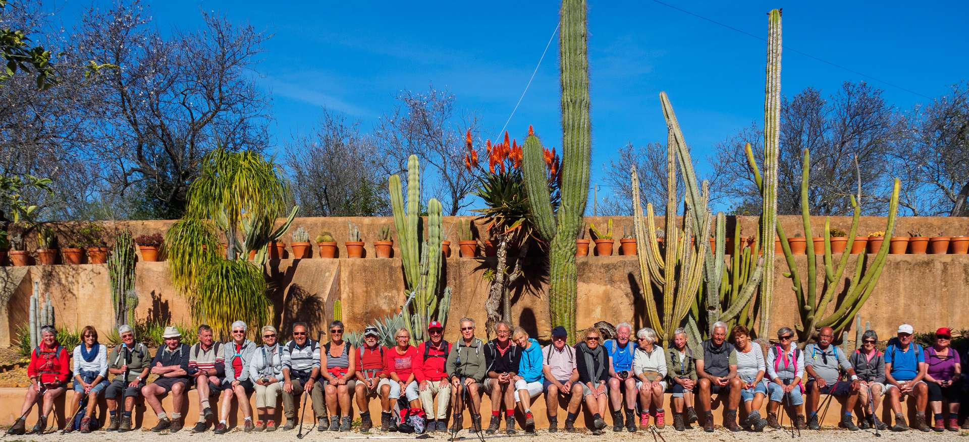 De wandelgroep