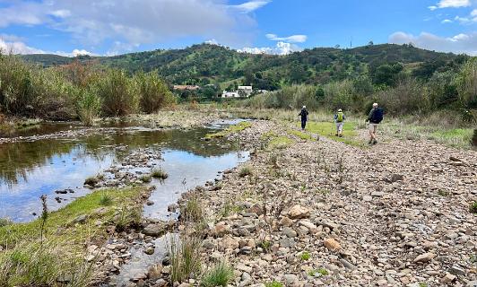 Ribeira de Alportel