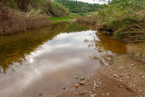 Ribeira do Alportel