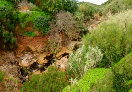 Ribeira do Asseco