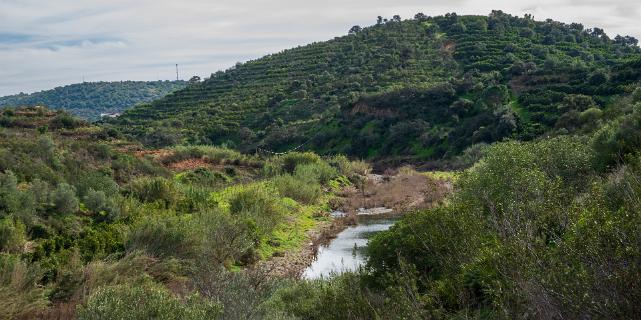 Ribeira do Alportel