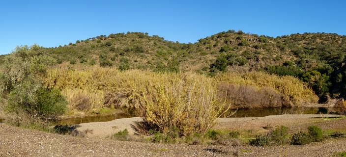 Ribeira Foupane