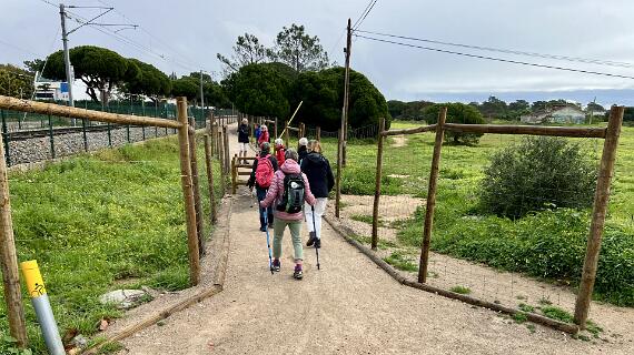 Bij het Educatie centrum Quinta de Marim loop je tot aan de spoorwegovergang waar je rechtsaf het nieuwe wandelpad opgaat.