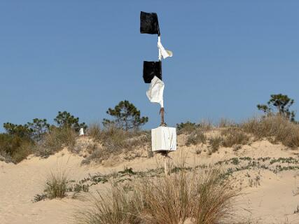 Hier moet je van het strand