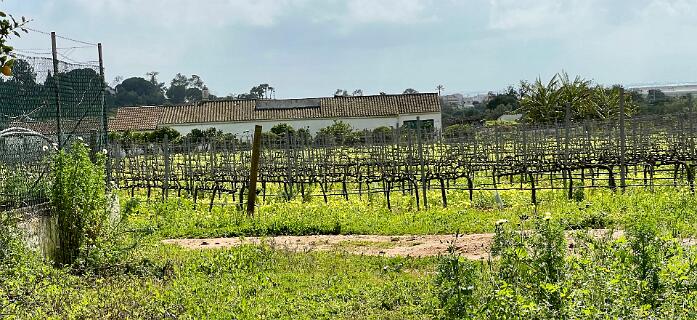 Quinta de Bacus