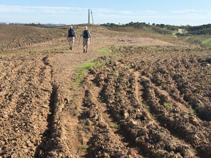 Hier was de weg omgeploegd