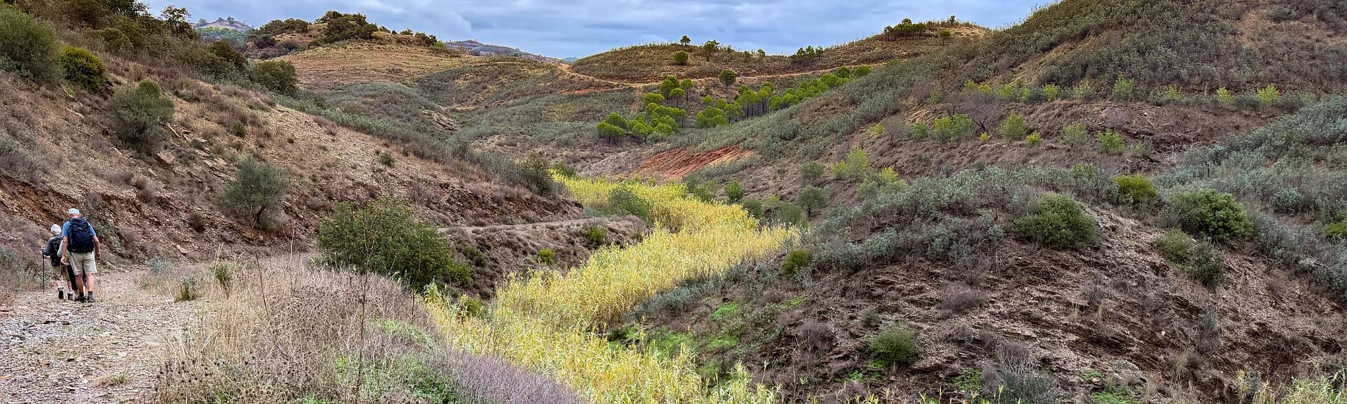Klik om de knoppen te tonen of te verbergen