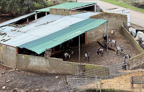 Geitenstal in Cortelha  Naar de wandeling