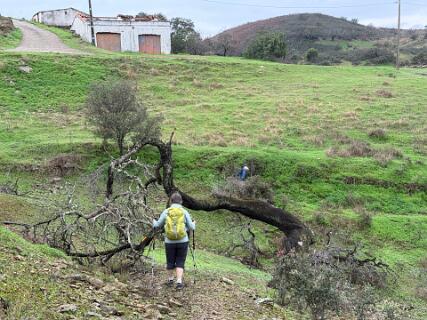 Hier is het pad niet te zien.  Naar de wandeling