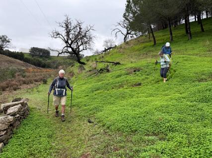 Nu komen we bij een zichtbaar pad.  Naar de wandeling