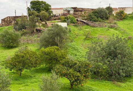 Marraquil  Naar de wandeling