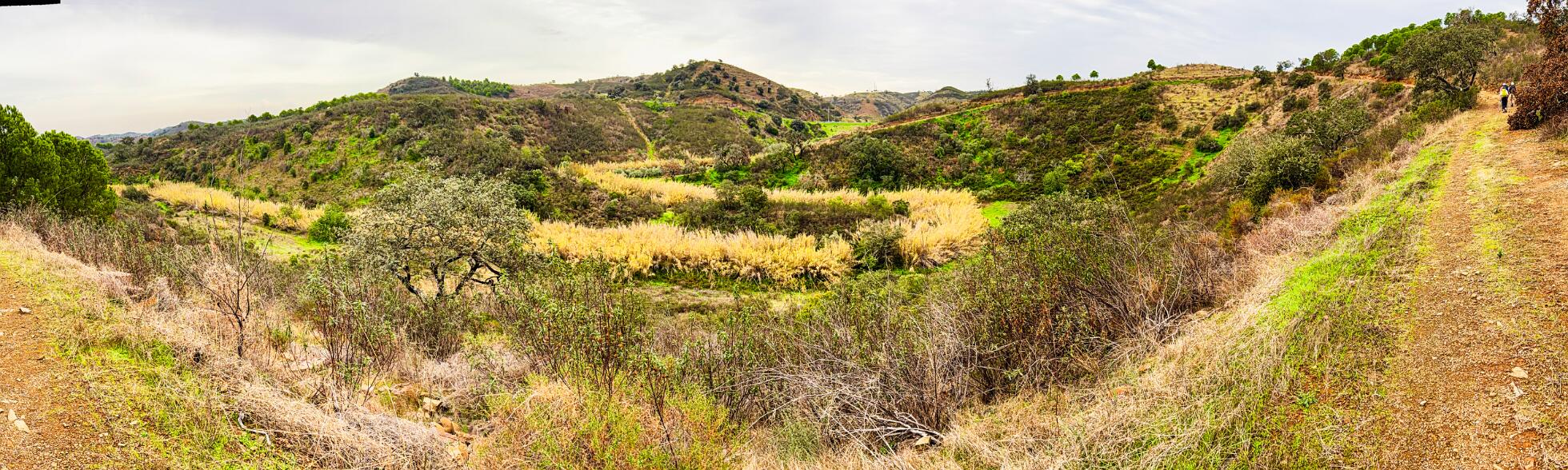 Klik om de knoppen te tonen of te verbergen