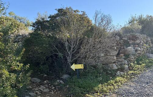 Een deel van de route werd met gele pijlen aangegeven.