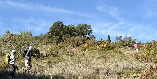 OP zoek naar een alternatieve oute