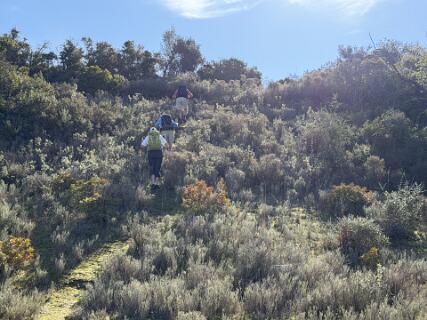 Deze helling leek veelbelovend, maar was te steil en te glibberig voor ons!