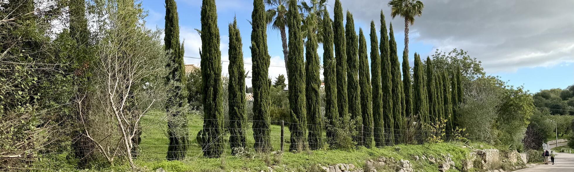 Klik om de knoppen te tonen of te verbergen