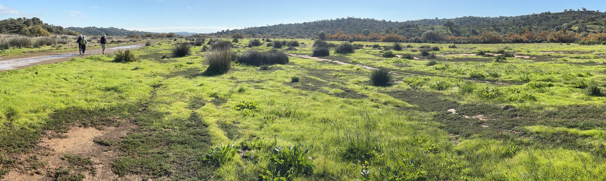 Klik om de knoppen te tonen of te verbergen