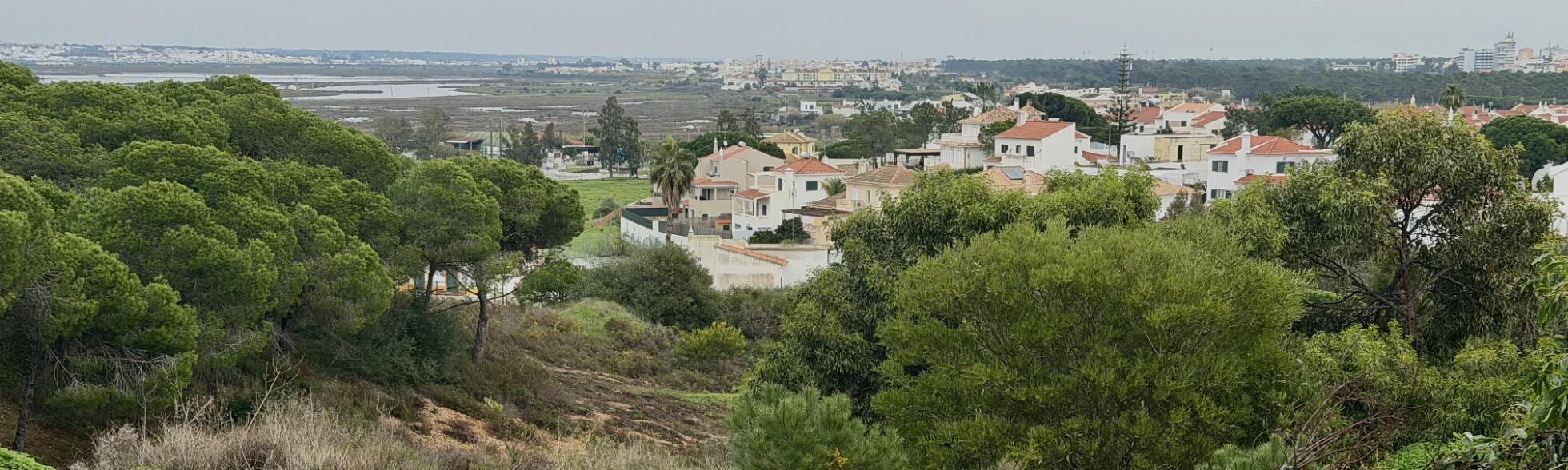 Klik om de knoppen te tonen of te verbergen