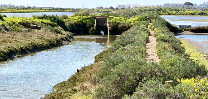 VanuIt Santa Luzia moet je dit bruggetje over.  Deze foto en de volgende foto's zijn 12 dagen later genomen.