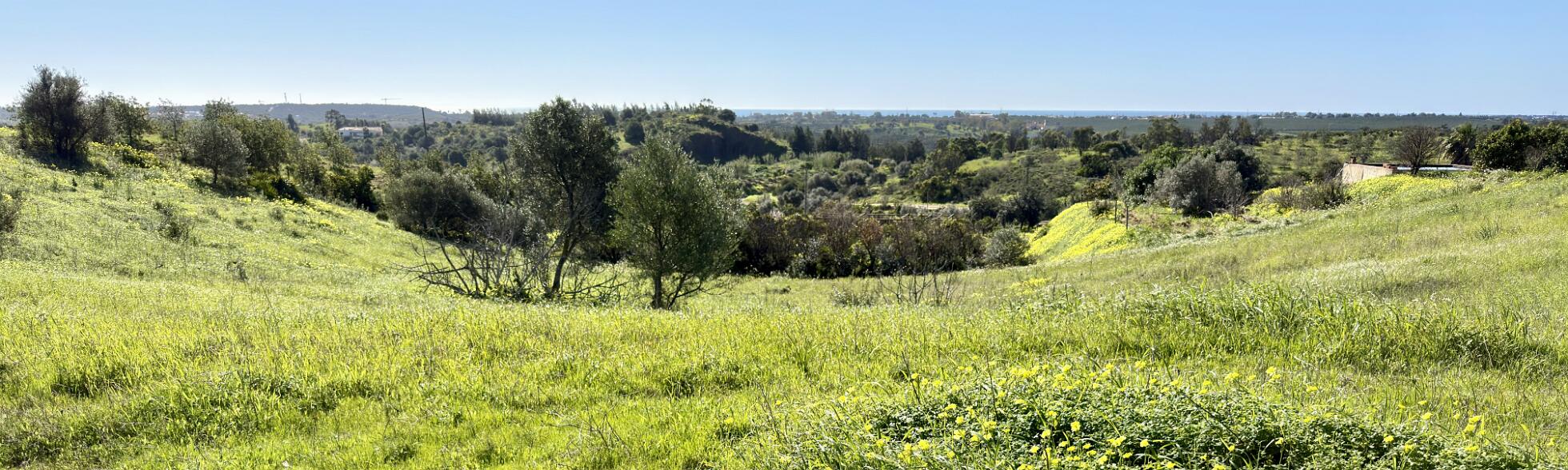 Klik om de knoppen te tonen of te verbergen