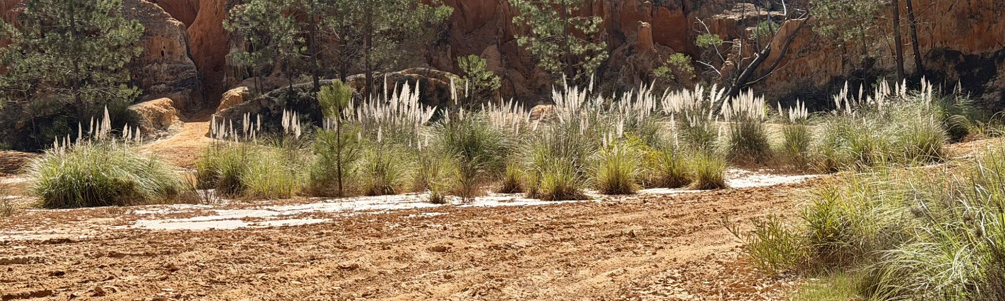 Klik om de knoppen te tonen of te verbergen
