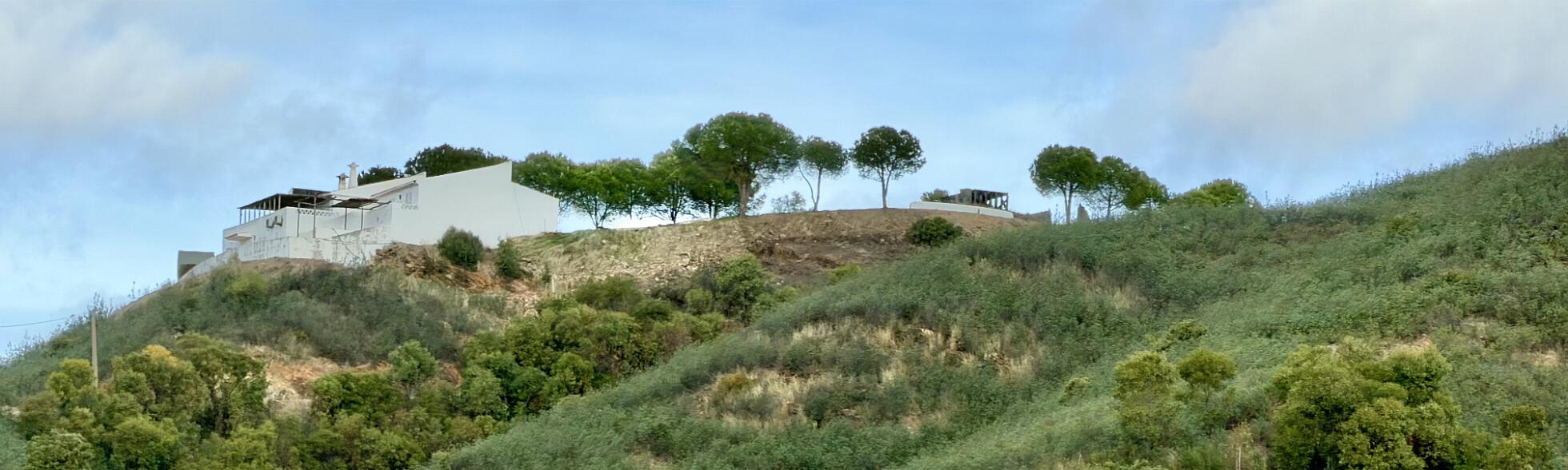 Klik om de knoppen te tonen of te verbergen