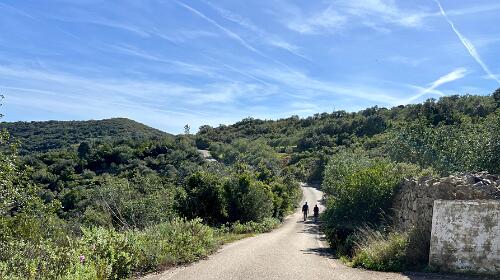 Azinhal e Amendoeira