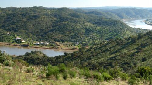 Montinho das Laranjeiras