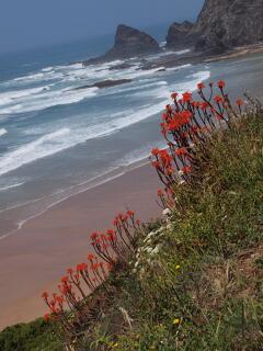 Praia de Odeceixe-Mar