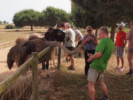 De dierentuin  bij Três Marias