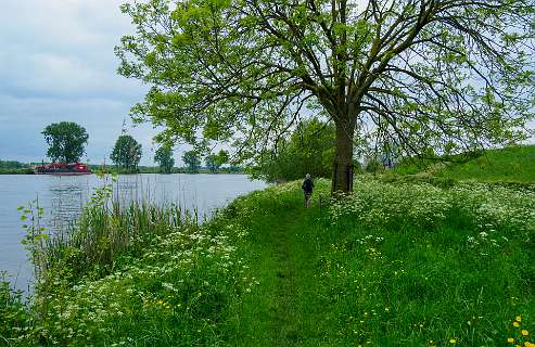 Pad lamgs de Maas