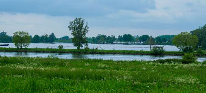 Aan de overkant van de maas ligt De Gouden Hand