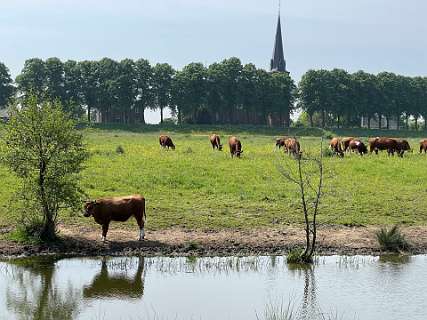 Terugblik op Demen