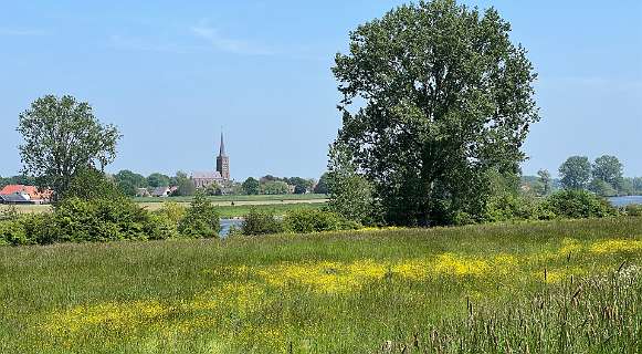 We lopen terug langs het fietspad. In het midden de kerk van Batenburg,