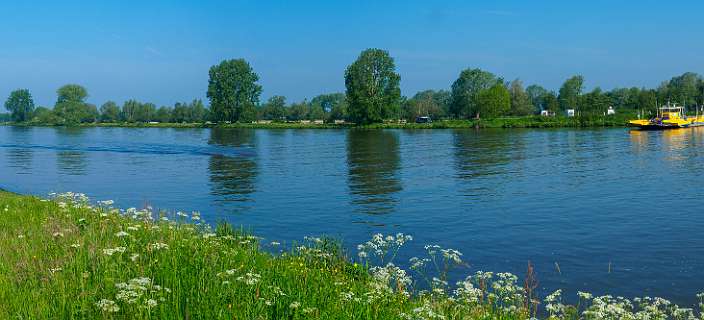 Het eerste veer over de Maas nar Gelderland