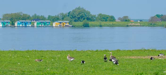 Recreatieplas De Gouden Ham