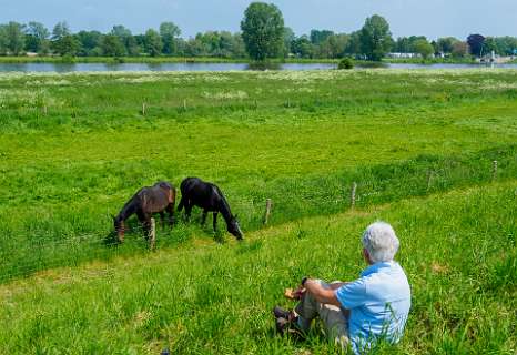 Lunch langs de Maas