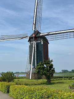 De molen bij Alphen