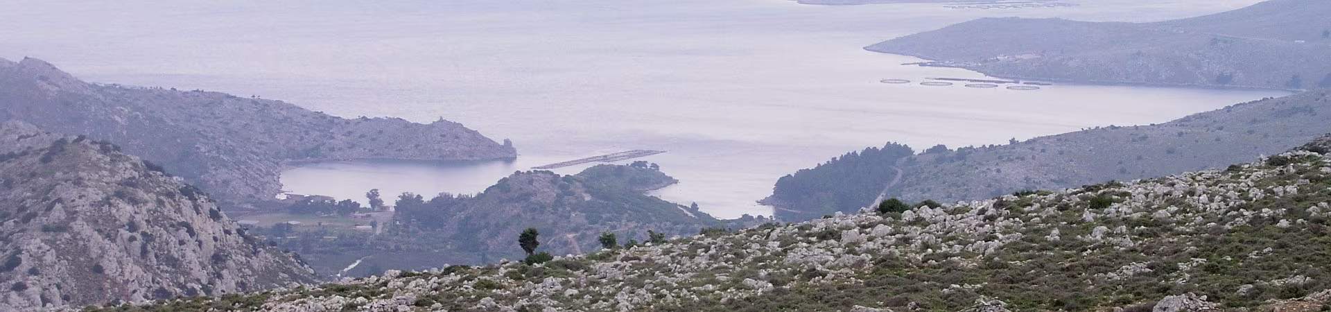 Klik om de knoppen te tonen of te verbergen