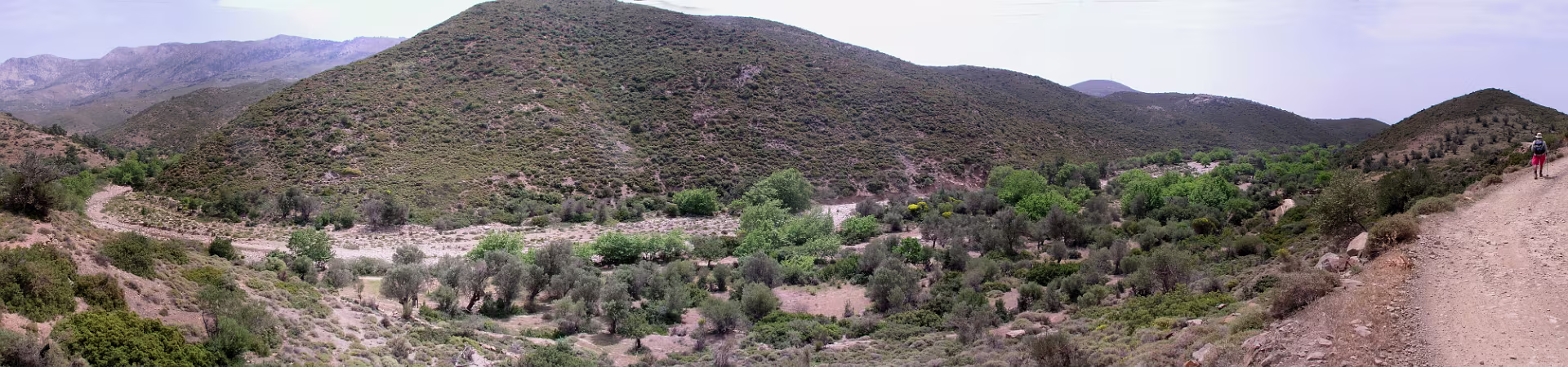 Klik om de knoppen te tonen of te verbergen