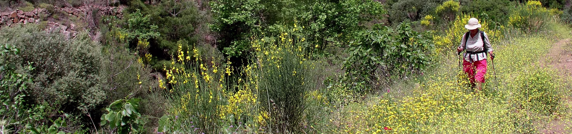 Klik om de knoppen te tonen of te verbergen