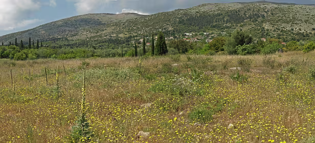 Hoogvlakte voor Anogi