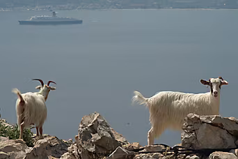 Van Agia Efimia naar Monastry Panagias Anatoliko