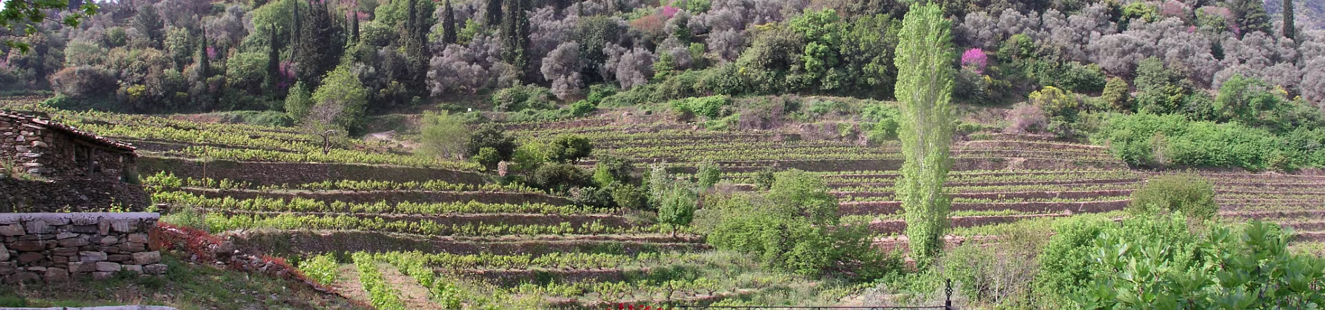 Klik om de knoppen te tonen of te verbergen