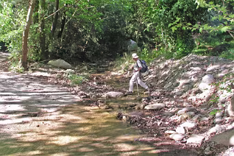 W 5 door de Nachtegalen vallei
