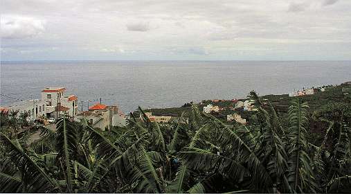 Bananen plantages boven Puerto Espíndola