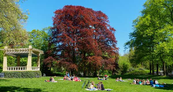 Noorderplantsoen
